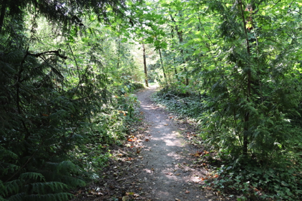 The natural surface trail up to Capitol Hill Road may be muddy and slippery when wet